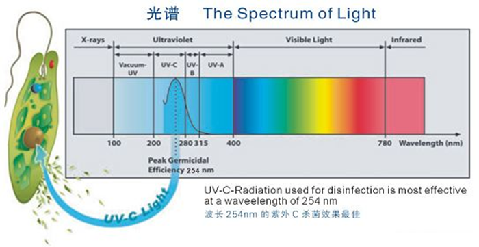 科普！紫外線殺菌燈對人體影響及正確使用方法